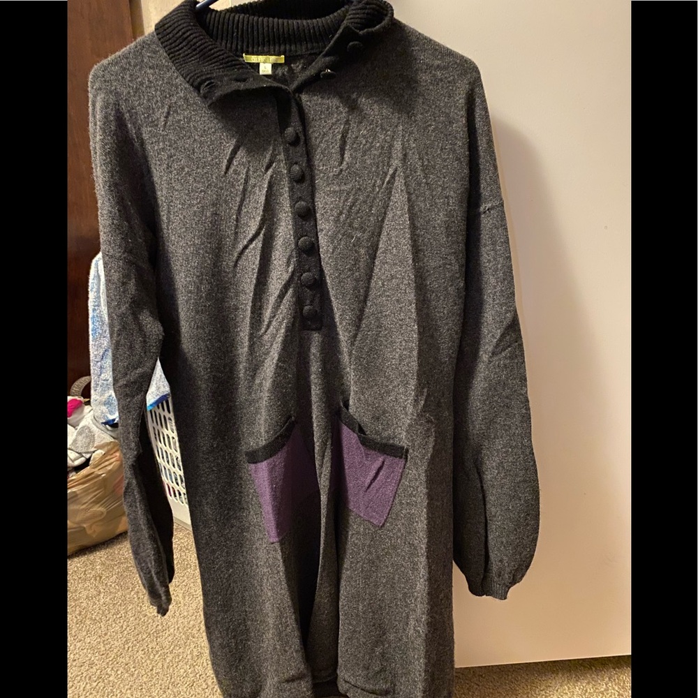 Gianni sweater dress3 for $15